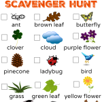 Scavenger Hunt