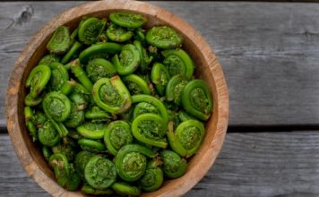 fiddleheads fern