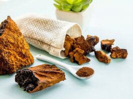 chaga mushroom benefits