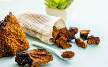 chaga mushroom benefits