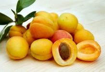 mirabelle plum benefits