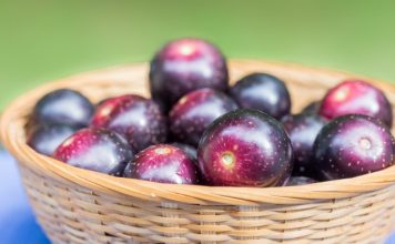 muscadine grapes