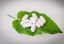 herbal antibiotics