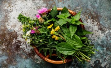 herbs in pregnancy
