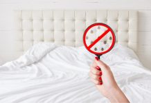 how to get rid of bed bugs