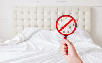 how to get rid of bed bugs