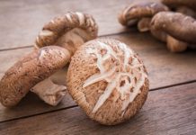 shiitake mushroom benefits