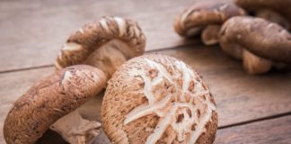 shiitake mushroom benefits