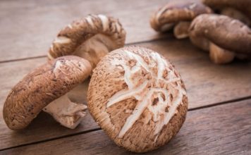 shiitake mushroom benefits