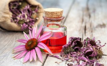 echinacea tea while pregnant