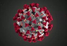 protective measures against new coronavirus