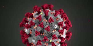 protective measures against new coronavirus