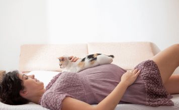 Pregnant Woman With Cat