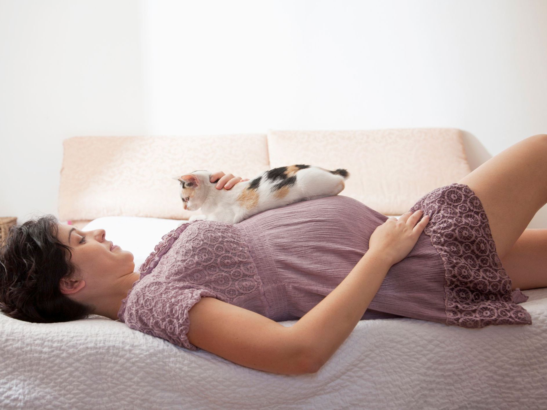 Pregnant Woman With Cat
