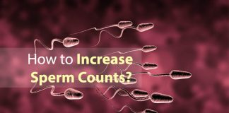 increase the sperm count