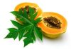 health benefits of papaya leaf
