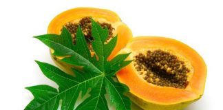 health benefits of papaya leaf