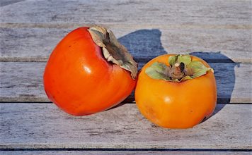 persimmon