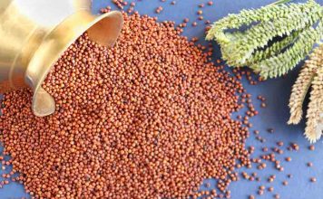 Ragi Grain