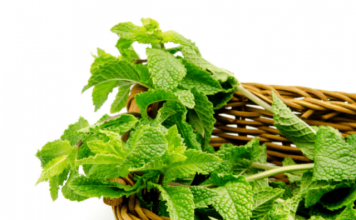 health benefits of mint leaves