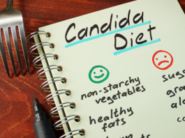 candida diet