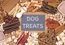 treats for puppies