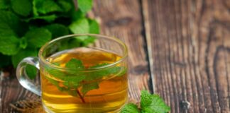 sencha tea benefits