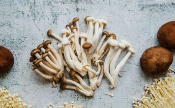 enoki mushroom health benefits