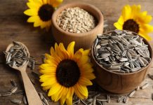 sunflower seeds during pregnancy