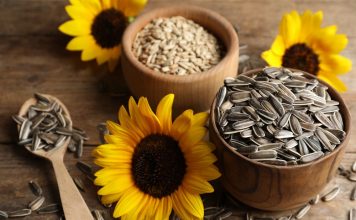 sunflower seeds during pregnancy