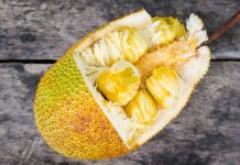 jackfruit seeds during pregnancy