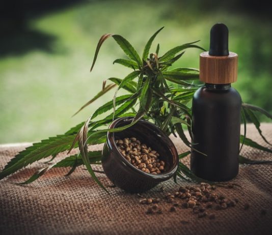 cannabis therapy