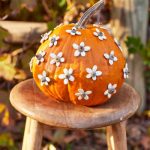 Sunflower Seed and Acorn Top Pumpkin