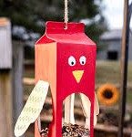 bird feeder