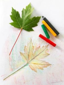 leaf rubbings craft