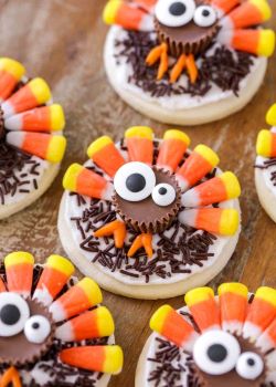 thanksgiving cookie decoration