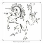 unicorn mythology 1