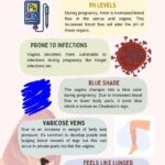 9 vaginal changes during pregnancy infographic