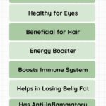 Health benefits of Fiddlehead Infographic