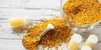 bee pollen for fertility