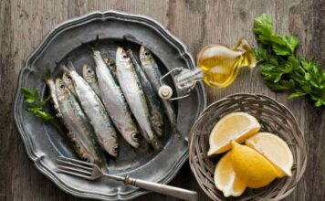 sardines during pregnancy